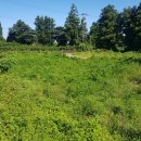 호근동-5 이미지