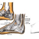 상구혈 (商丘穴) 은 페니시린 이미지