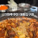 쭈꾸미신화 이미지