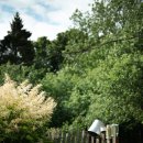 함께하는한의원 이미지