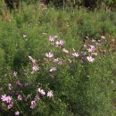 가야 농장 이미지