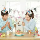 행복한댕댕이 이미지