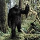 빅풋 이미지