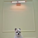 가위든개 이미지