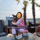 이마트24 R해운대청사포점 이미지