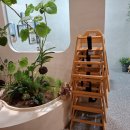 지에스25 당진대덕점 | 당진 대덕동 소재 자연 친화적인 감성 가득한 대형 식물 카페 &#34;DONO(도노)&#34; 방문 후기