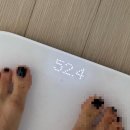 천동캠핑장(하) | 25.04_ 다시 또 시작!
