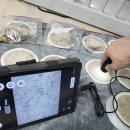 동신세탁 | 원주 행구동 동신아파트 소파,매트리스 청소/ 매트리스 소변오줌 얼룩 제거 및 소파 찌든 때 제거