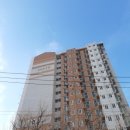 천년나무행복작은도서관 이미지