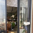 제주유유자적 이미지