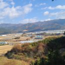 준향리목장 이미지