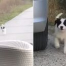 복수목장 이미지