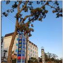 1004 노래연습장 이미지