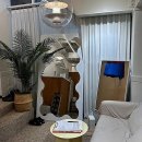 생활미용 초급 | 매끈한 하루를 위한 필수 코스, 강남역왁싱 제대로 즐기기