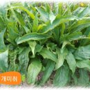 별미쌈밥 이미지