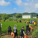 영흥면 면사무소 이미지