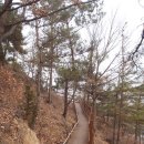 압곡1구 Daum카페