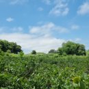 은자농장 이미지