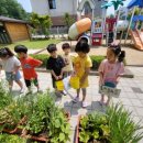 오산숲유치원 이미지