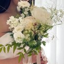 [Wedding 6] 부산 웨딩스냅촬영 - 딜리제 스튜디오(dilige studio) 촬영후기