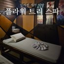 뱅크트리 | 세부 막탄 마사지 플라워 트리 스파 후기(한국인 사장님)