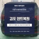 에이스덴트칼라