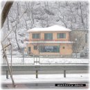 산천민물장어 이미지