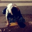 한벌태권도 이미지