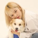 정연 이미지