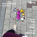 첫 마라톤에서 얻은 기록과 런닌이 진강이의 후기