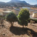 알밤오름하우스 이미지