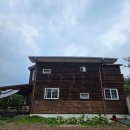 [평창 애견동반 펜션] 11살 반려견과 빗속의 낭만 여행, 봉평 '아침의 소리' 2박 3일 내돈내산 후기