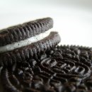 랙돌캐터리 이미지