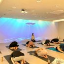 플랫폼몬스터 이미지