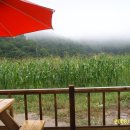 완성농장 이미지