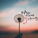 감성 먹 캘리그라피 이미지