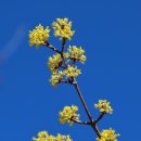 용두공원#1 이미지