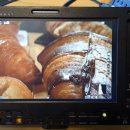 바디퀄리티 이미지