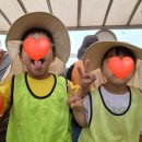 신덕바지락영어조합법인 | 영종도 마시안 갯벌체험 대여 준비물 주차 물때