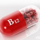 B12-1 이미지