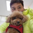 무무유치원 이미지