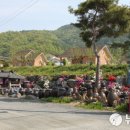 팜 라이프 이미지