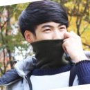 폴라 이미지