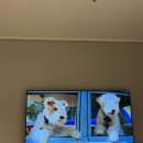 위코스테이 남산 이미지