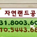 자연랜드공인중개사사무소 이미지