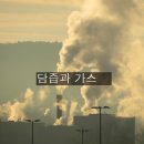 익산옥야초등학교 | 담즙과 가스