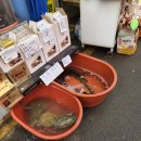 맛있는집믿거나말거나 이미지