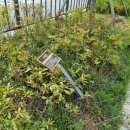 반곡동_반곡동 복합커뮤니티센터 앞 이미지