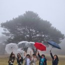 제주기사 이미지