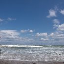 공치는날 이미지